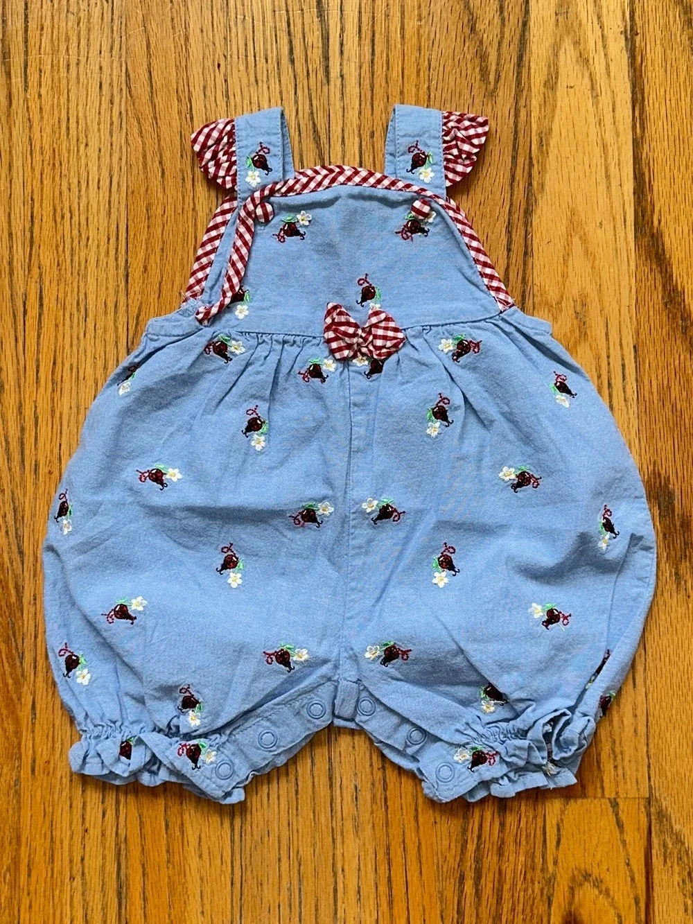Starting Out Blue Overalls with Ladybugs